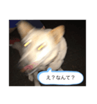 ハナさんver.2（個別スタンプ：1）