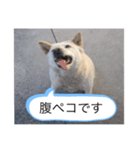 ハナさんver.2（個別スタンプ：2）