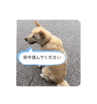 ハナさんver.2（個別スタンプ：3）