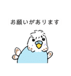 Y田さんちのインコたち（個別スタンプ：7）