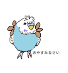 Y田さんちのインコたち（個別スタンプ：11）