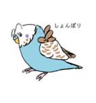 Y田さんちのインコたち（個別スタンプ：22）