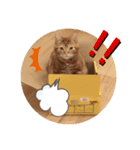 つなげ（個別スタンプ：1）