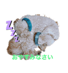 ちょこちっぷくっきい（個別スタンプ：11）