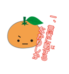 みかん コみかん 秘書みかん（個別スタンプ：37）