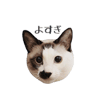 ハギオのスタンプ（個別スタンプ：3）