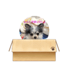 愛家のリトとお友達（個別スタンプ：5）