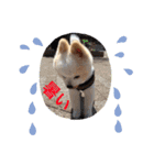 愛家のリトとお友達（個別スタンプ：14）