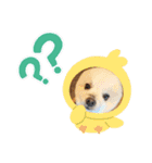 愛家のリトとお友達（個別スタンプ：15）