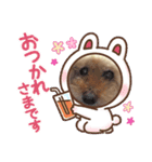 トイプードルだよ1（個別スタンプ：2）