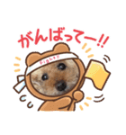 トイプードルだよ1（個別スタンプ：10）