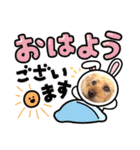 トイプードルだよ1（個別スタンプ：11）