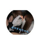 みこみこみこみこみこ（個別スタンプ：2）