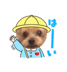 ヨーキーちこ（個別スタンプ：2）