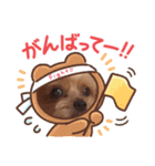 ヨーキーちこ（個別スタンプ：4）