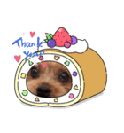 ヨーキーちこ（個別スタンプ：5）