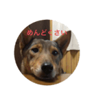 とっくちゃん（個別スタンプ：4）