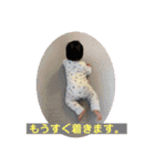 トモキとイブキ①（個別スタンプ：8）