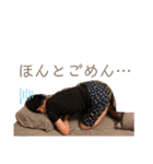 トモキとイブキ①（個別スタンプ：14）