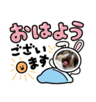 無敵わんちゃんSERA②（個別スタンプ：1）