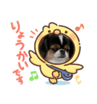 無敵わんちゃんSERA②（個別スタンプ：5）