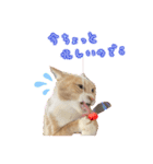 猫の寅次郎とさくら（個別スタンプ：4）