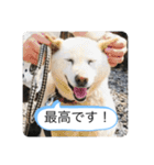 ハナさんver.3（個別スタンプ：6）