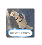 ハナさんver.3（個別スタンプ：9）