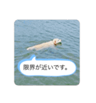 ハナさんver.3（個別スタンプ：10）