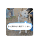 ハナさんver.3（個別スタンプ：14）