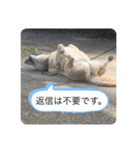 ハナさんver.3（個別スタンプ：15）