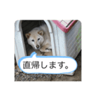 ハナさんver.3（個別スタンプ：18）