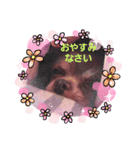 わたしの使うスタンプ（個別スタンプ：4）