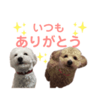 ゆらりん_stamp（個別スタンプ：8）