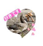 トイプのこもちゃん2021 改訂版（個別スタンプ：9）