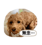 トイプのこもちゃん2021 改訂版（個別スタンプ：26）