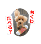 トイプのこもちゃん2021 改訂版（個別スタンプ：27）