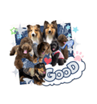 Doggy's vol.1（個別スタンプ：1）