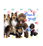 Doggy's vol.1（個別スタンプ：2）