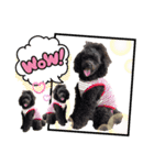 Doggy's vol.1（個別スタンプ：3）