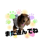 Doggy's vol.1（個別スタンプ：4）