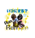 Doggy's vol.1（個別スタンプ：5）