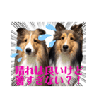 Doggy's vol.1（個別スタンプ：6）