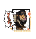 Doggy's vol.1（個別スタンプ：8）