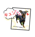 ハンドリーの日常①（個別スタンプ：1）