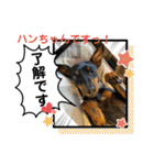 ハンドリーの日常①（個別スタンプ：11）