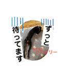 ハンドリーの日常①（個別スタンプ：13）