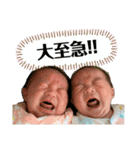 わかみこスタンプ（個別スタンプ：14）