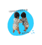 わかみこスタンプ（個別スタンプ：28）