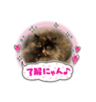ハナ先輩大集合①（個別スタンプ：7）